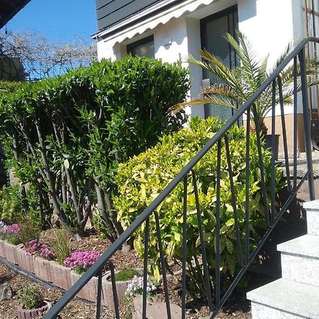 Apartment Am Kaffelstein - Mit Terrasse Kreuzwertheim Εξωτερικό φωτογραφία