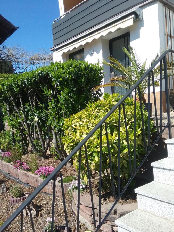 Apartment Am Kaffelstein - Mit Terrasse Kreuzwertheim Εξωτερικό φωτογραφία
